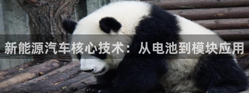 优发国际app官网下载安装手机版：新能源汽车核心技术：从电池到模块应用