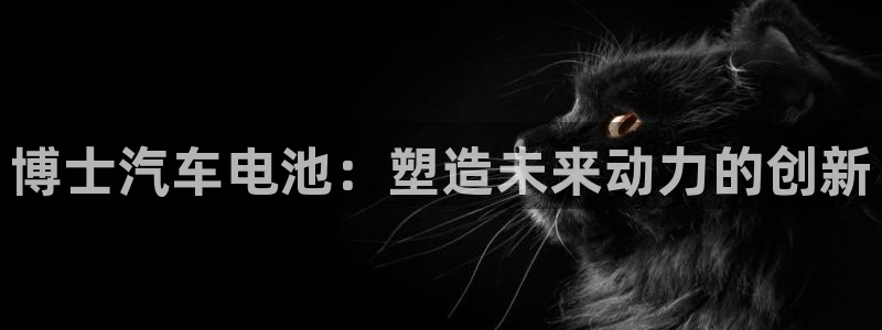 优发国际线上娱官网：博士汽车电池：塑造未