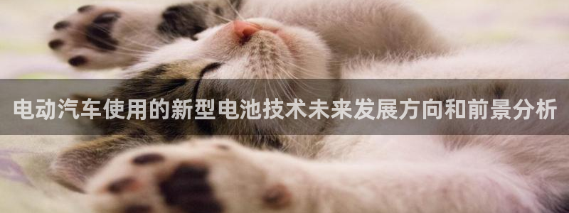 优发国际线上娱官网：电动汽车使用的新型电池技术未来发展方向和前景分析