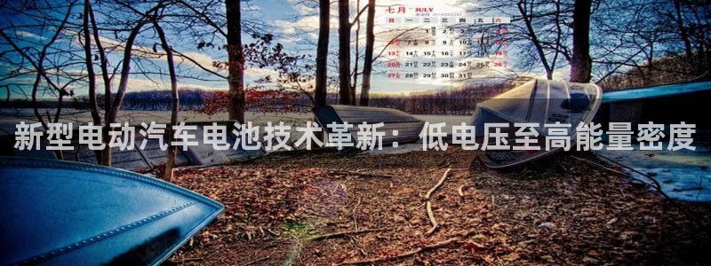 优发国际手机登录下载安装官网：新型电动汽车电池技术革新：低电压至高能量密度