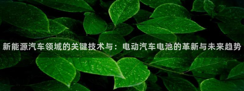 优发国际手机登录下载安装苹果：新能源汽车领域的关键技术与：电动汽车电池的革新与未来趋势