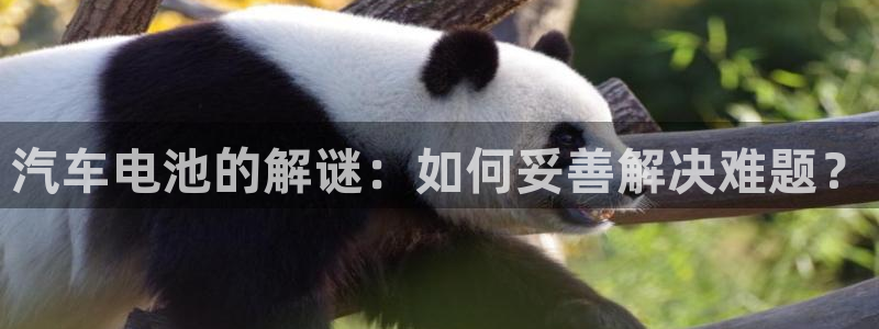 优发国际网官网17k8：汽车电池的解谜：