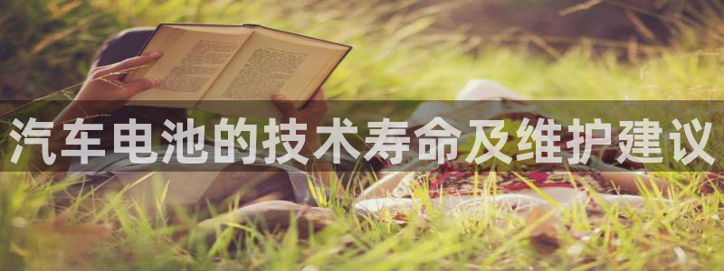 优发国际是大平台吗