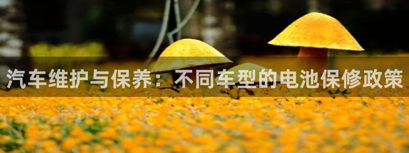 优发国际登录app