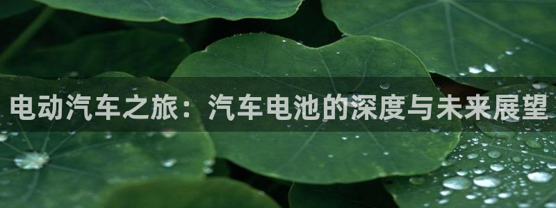 优发国际官网手机版下载安卓