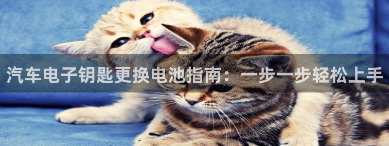 优发国际app官网下载安装苹果