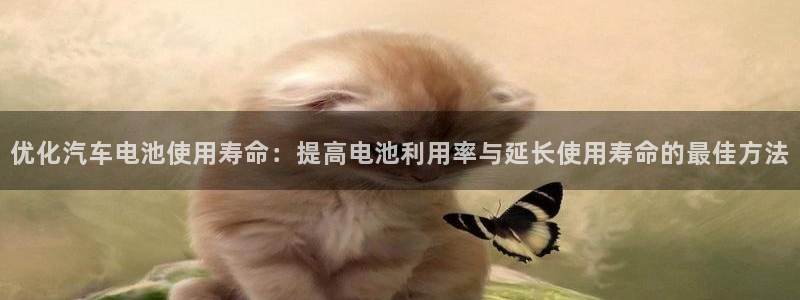 优发国际官网手机版代理：优化汽车电池使用寿命：提高电池利用率与延长使用寿命的最佳方法