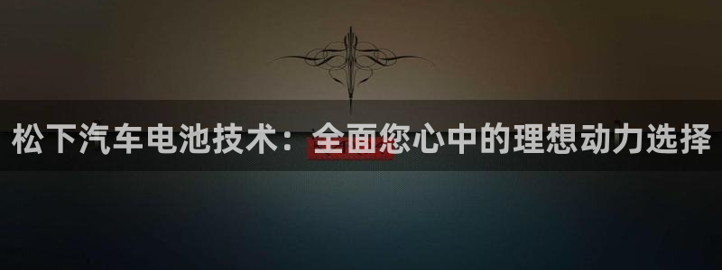 优发国际登录首页：松下汽车电池技术：全面您心中的理想动力选择