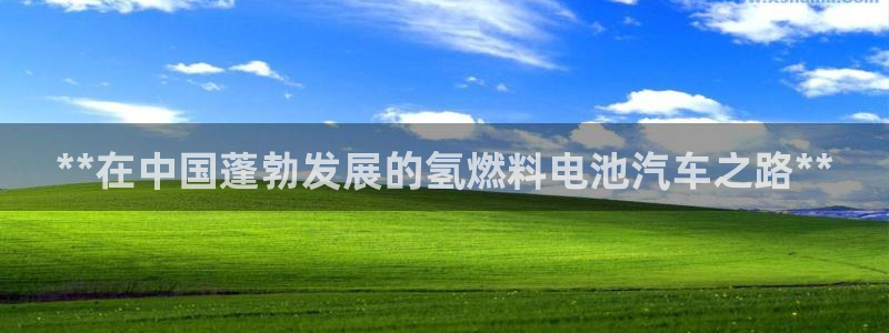 优发国际注册账号：**在中国蓬勃发展的氢燃料电池汽车之路**