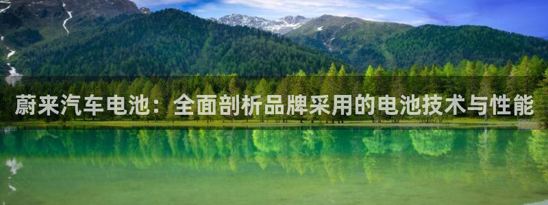 优发国际官网手机版入口：蔚来汽车电池：全面剖析品牌采用的电池技术与性能