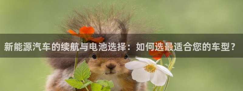 优发国际合并到哪里了啊：新能源汽车的续航与电池选择：如何选最适合您的车型？