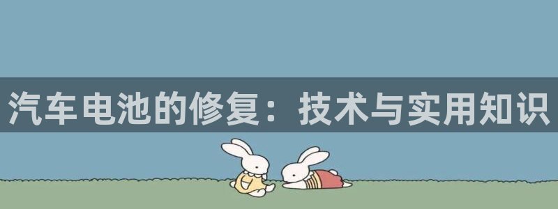 优发国际登录168：汽车电池的修复：技术与实用知识