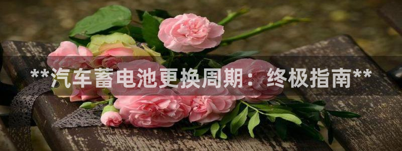 优发国际平台u8