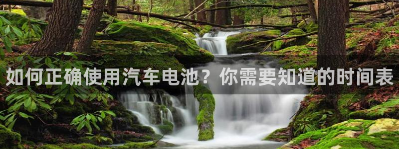 优发国际手机登录下载安装