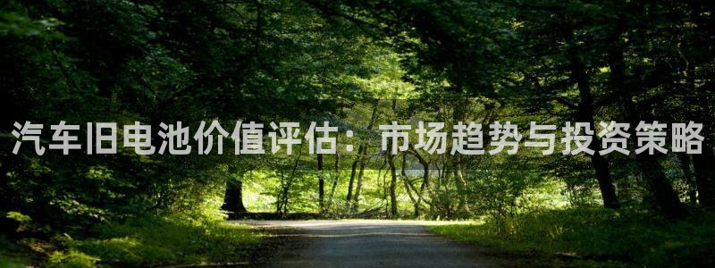 优发国际手机版网站：汽车旧电池价值评估：市场趋势与投资策略