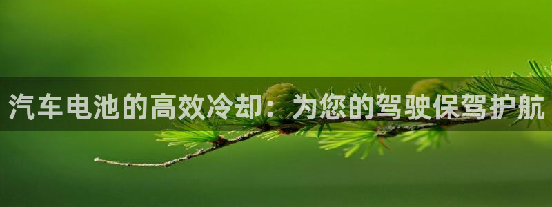 优发国际是大平台吗知乎：汽车电池的高效冷却：为您的驾驶保驾护航