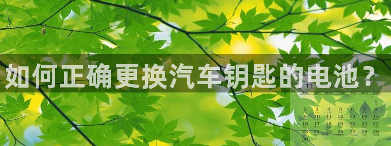 优发国际手机app下载安装：如何正确更换汽车钥匙的电池？