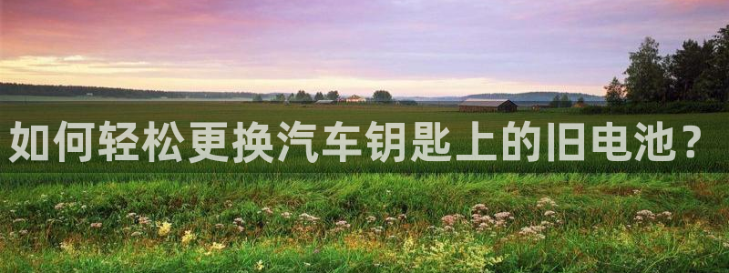 优发国际手机app下载地址：如何轻松更换汽车钥匙上的旧电池？