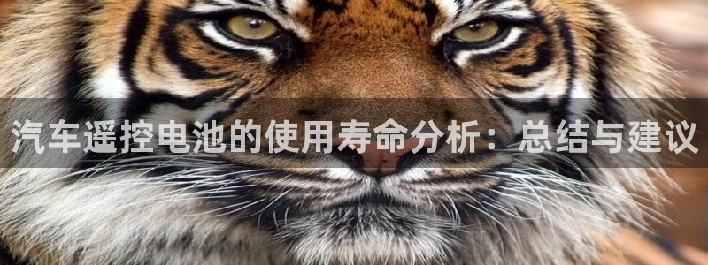 优发国际手机版网站入口：汽车遥控电池的使用寿命分析：总结与建议