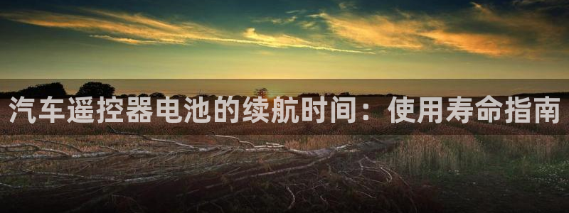 优发国际平台g8怎么样：汽车遥控器电池的续航时间：使用寿命指南