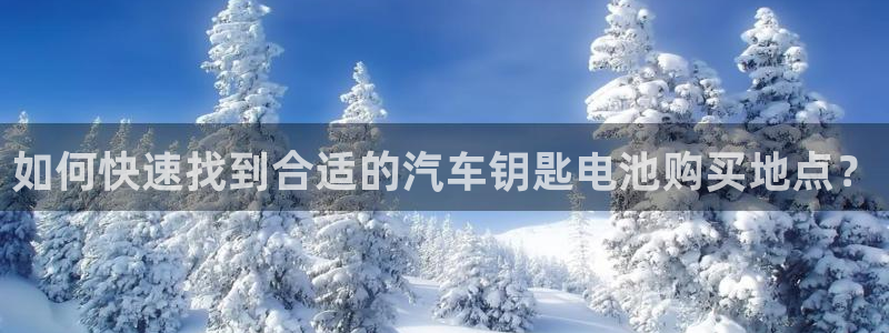 优发国际网官网17w8：如何快速找到合适的汽车钥匙电池购买地点？