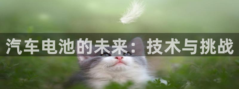 优发国际手机版客户端官网：汽车电池的未来：技术与挑战