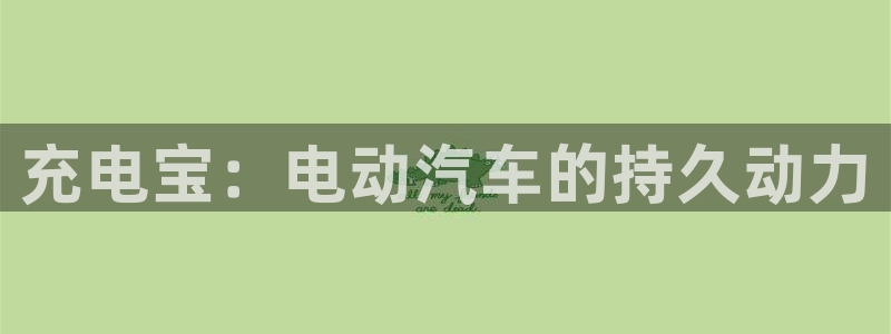 优发国际官网下载安装app：充电宝：电动汽车的持久动力