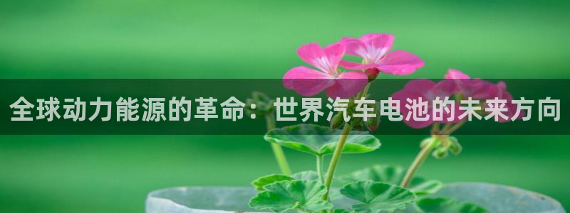 优发国际手机版客户端：全球动力能源的革命