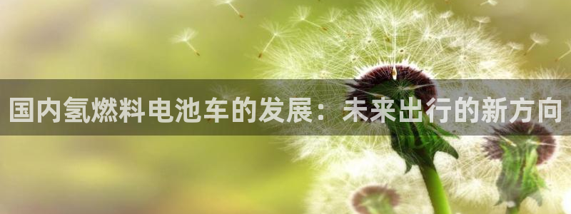 优发国际网官网：国内氢燃料电池车的发展：