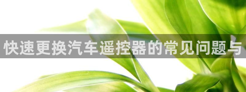 优发国际娱乐官网多少?：快速更换汽车遥控器的常见问题与