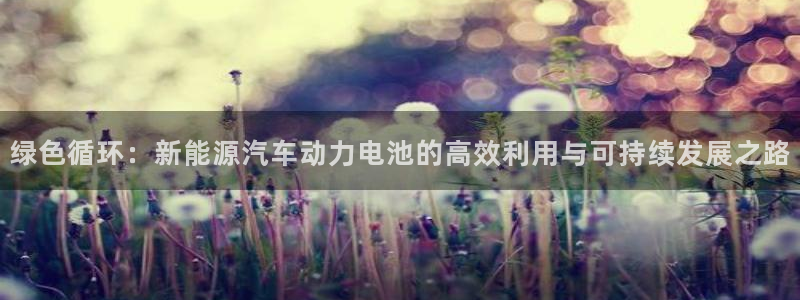 优发国际登录app：绿色循环：新能源汽车动力电池的高效利用与可持续发展之路