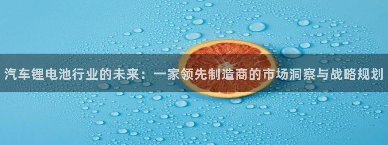 优发国际手机客户端下载官网：汽车锂电池行