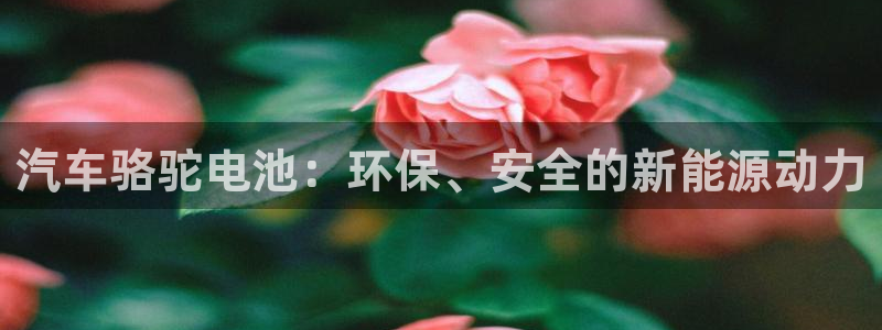 优发国际官网网站