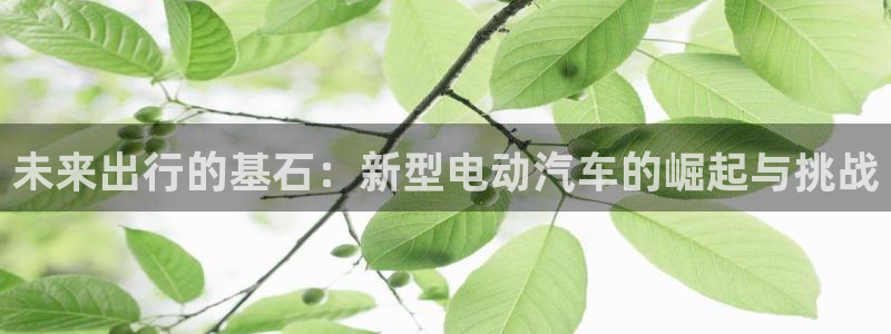 优发国际平台手机版下载安装：未来出行的基